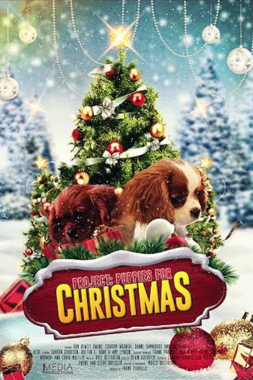 Quà Giáng Sinh Bất Ngờ (Project: Puppies for Christmas) Quà Giáng Sinh Bất Ngờ (Project: Puppies for Christmas) vietsub