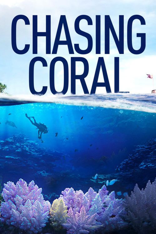 Rạn San Hô (Chasing Coral) Rạn San Hô (Chasing Coral) vietsub