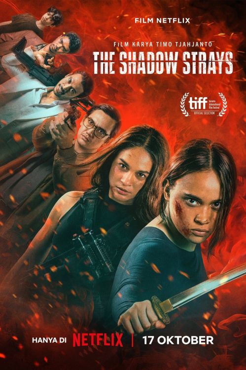 Sát thủ mật danh 13 (The Shadow Strays) vietsub
