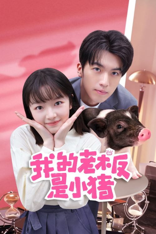 Sếp Của Tôi Là Chú Lợn Nhỏ (My Piggy Boss) Sếp Của Tôi Là Chú Lợn Nhỏ (My Piggy Boss) vietsub
