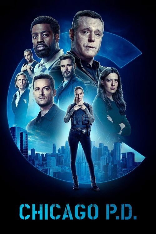 Cảnh Sát Chicago (Phần 10) (Chicago P.D. (Season 10)) vietsub