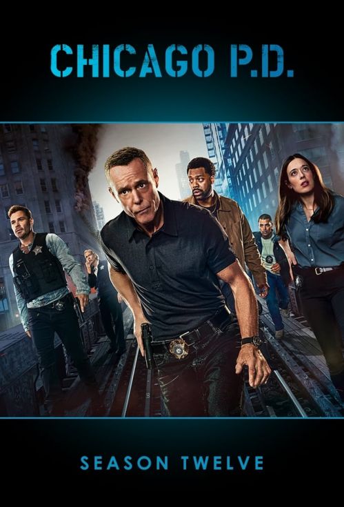 Sở Cảnh Sát Chicago (Phần 12) (Chicago P.D. (Season 12)) vietsub