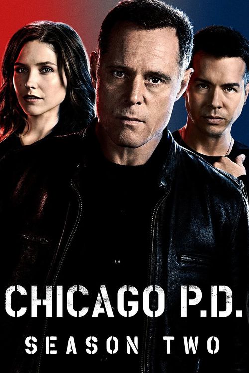 Cảnh Sát Chicago (Phần 2) (Chicago P.D. (Season 2)) vietsub