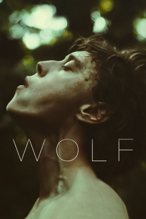 Sói Trong Lốt Người (Wolf) vietsub