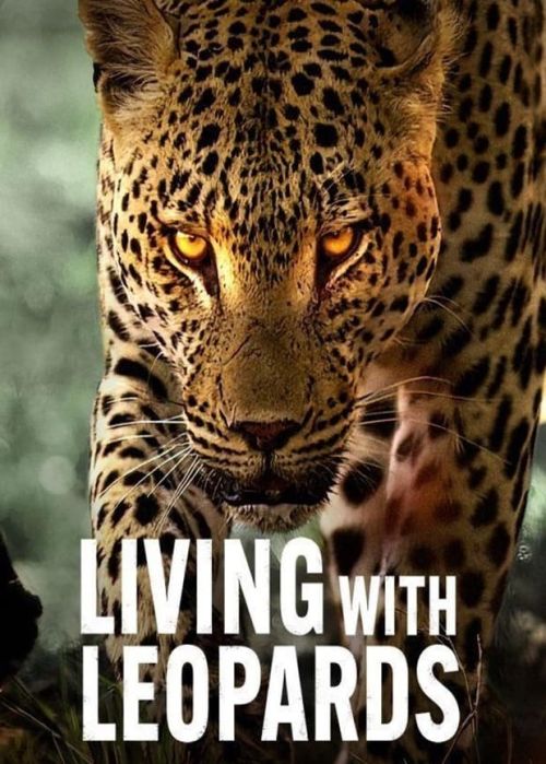 Sống Cùng Báo Hoa (Living with Leopards) vietsub