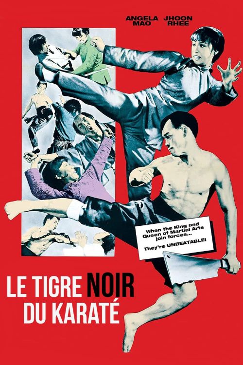 Taekwondo Chấn Cửu Châu (When Taekwondo Strikes) Taekwondo Chấn Cửu Châu (When Taekwondo Strikes) vietsub