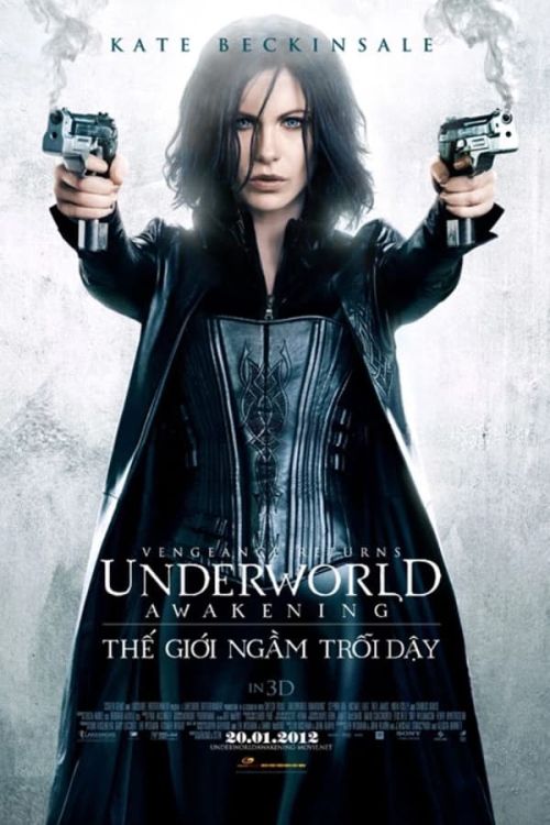 Thế Giới Ngầm: Trỗi Dậy (Underworld: Awakening) vietsub