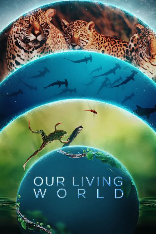 Thế Giới Sống Của Chúng Ta (Our Living World) Thế Giới Sống Của Chúng Ta (Our Living World) vietsub