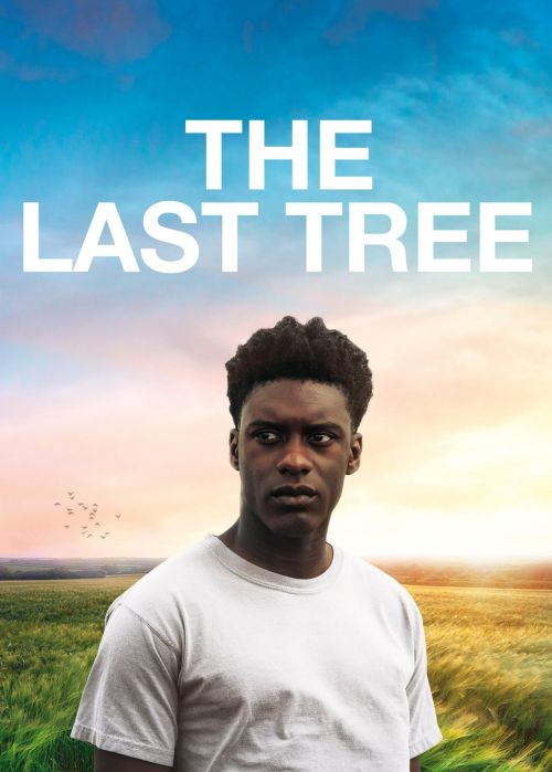 The Last Tree The Last Tree vietsub