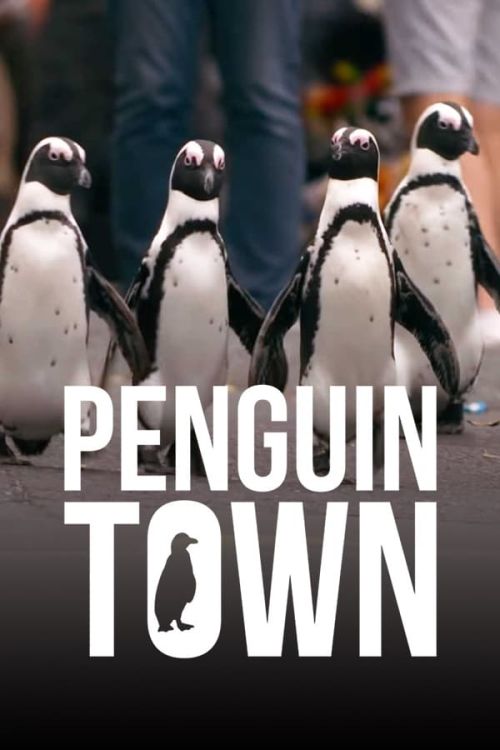 Thị trấn cánh cụt (Penguin Town) Thị trấn cánh cụt (Penguin Town) vietsub