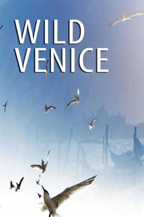 Thiên Nhiên Hoang Dã Venice (Wild Venice) vietsub