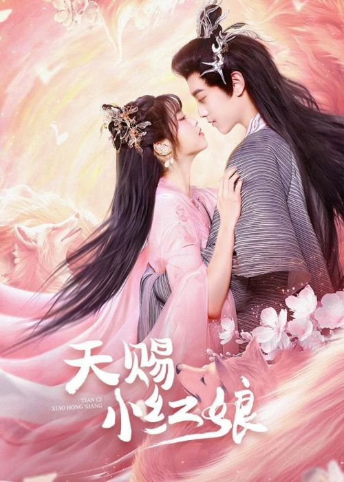 Thiên Tứ Tiểu Hồng Nương (The Little Red Matchmaker) Thiên Tứ Tiểu Hồng Nương (The Little Red Matchmaker) vietsub