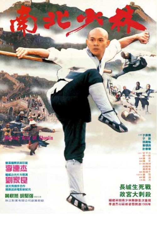 Thiếu Lâm Tự 3: Nam Bắc Thiếu Lâm (Shaolin Temple 3: Martial Arts of Shaolin) Thiếu Lâm Tự 3: Nam Bắc Thiếu Lâm (Shaolin Temple 3: Martial Arts of Shaolin) vietsub