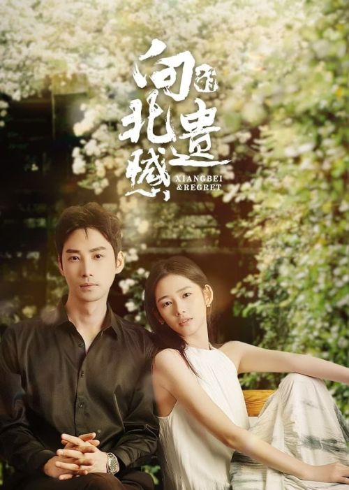 Tiếc Nuối Của Hướng Bắc (Xiangbei Regret) vietsub