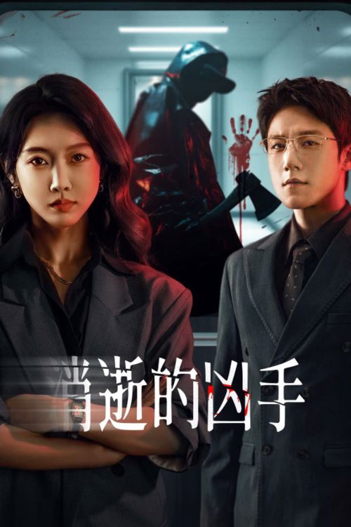 Tiêu Thất Đích Hung Thủ (Sát Nhân Biến Mất) (Gone Murderer) vietsub