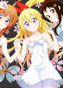 Tình Yêu Ngang Trái (NiseKoi) Tình Yêu Ngang Trái (NiseKoi) vietsub