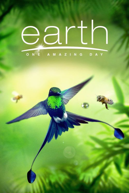 Trái Đất: Một Ngày Tuyệt Vời (Earth: One Amazing Day) Trái Đất: Một Ngày Tuyệt Vời (Earth: One Amazing Day) vietsub