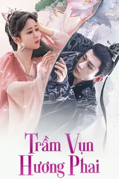 Trầm Vụn Hương Phai (Immortal Samsara) vietsub