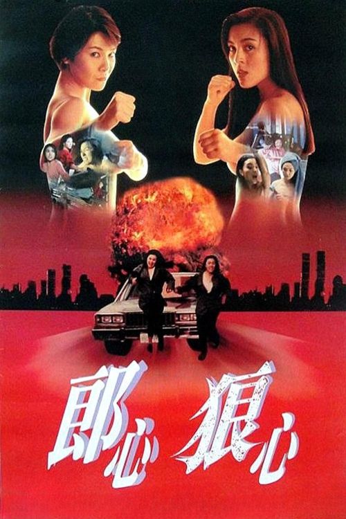 Trên Đường Bôn Tẩu (Women On The Run) vietsub