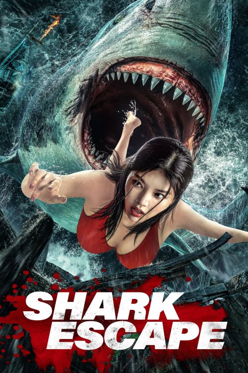 Trốn Chạy Khỏi Cá Mập (Escape of Shark) Trốn Chạy Khỏi Cá Mập (Escape of Shark) vietsub