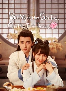 Vận Mệnh Hoa Sơn Trà Của Hứa Thuần Thuần (A Camellia Romance) Vận Mệnh Hoa Sơn Trà Của Hứa Thuần Thuần (A Camellia Romance) vietsub