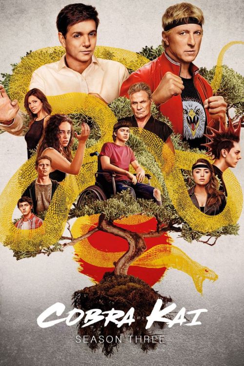 Võ Đường Cobra Kai (Phần 3) (Cobra Kai (Season 3)) vietsub