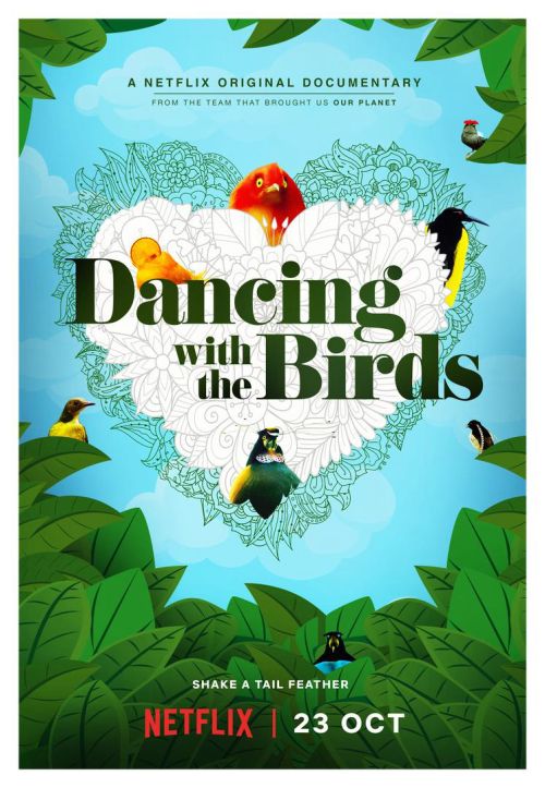Vũ Điệu Của Loài Chim (Dancing With The Birds) Vũ Điệu Của Loài Chim (Dancing With The Birds) vietsub