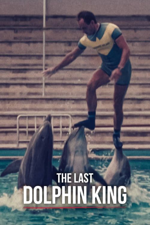 Vua cá heo cuối cùng (The Last Dolphin King) Vua cá heo cuối cùng (The Last Dolphin King) vietsub