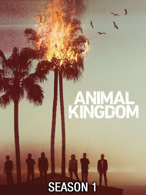 Vương Quốc Động Vật (Phần 1) (Animal Kingdom (Season 1)) vietsub