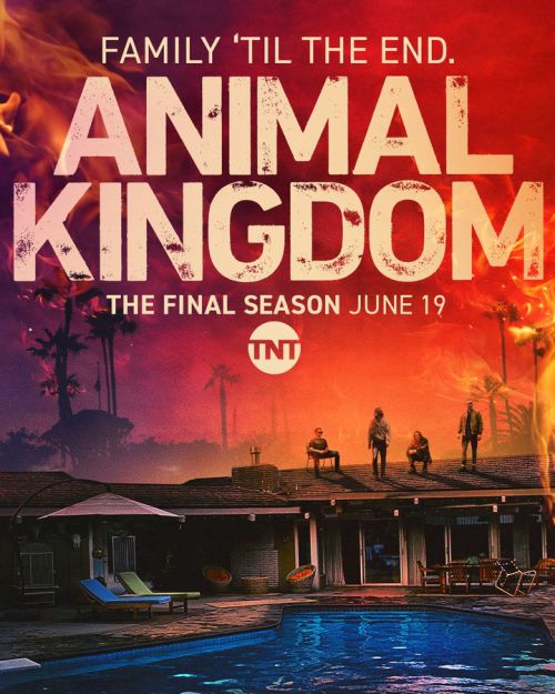 Vương Quốc Động Vật (Phần 6) (Animal Kingdom (Season 6)) Vương Quốc Động Vật (Phần 6) (Animal Kingdom (Season 6)) vietsub